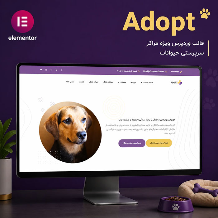 طراحی سایت حیوانات خانگی